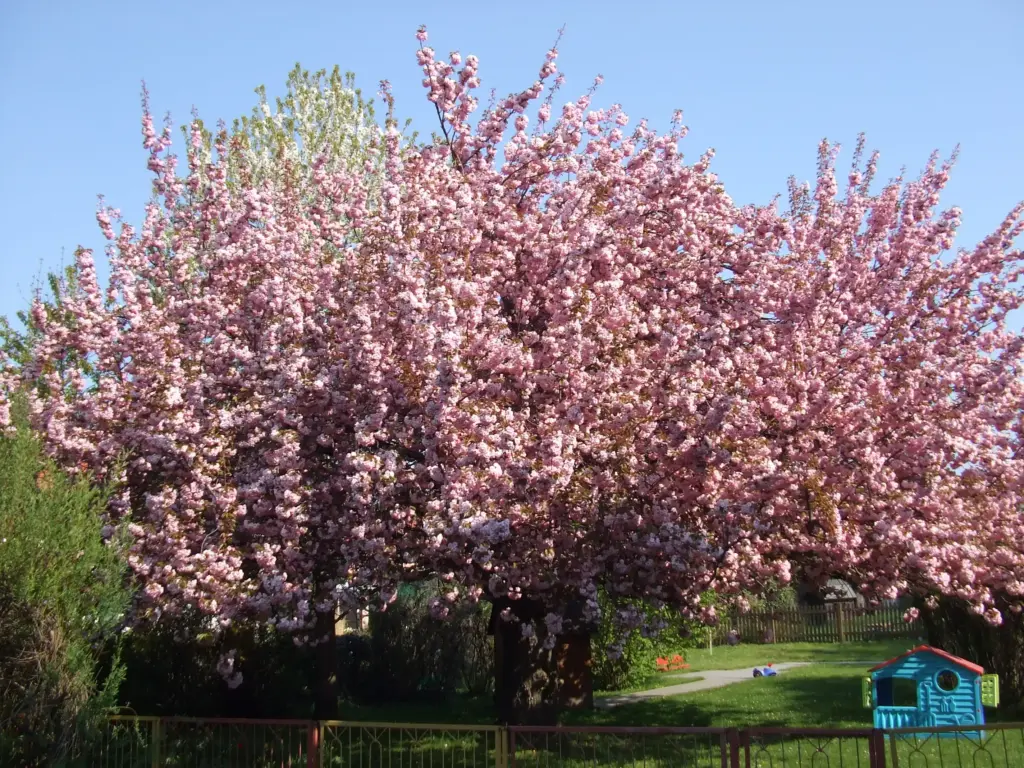 Kinderkrippe Aschersleben Krabbelkiste Aussenbereich 3